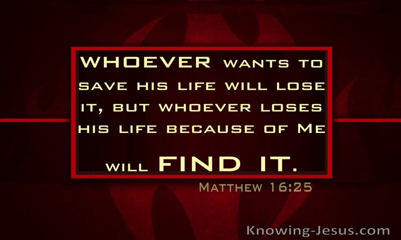 Matthew 16:25 Whoever will lose His life (red)